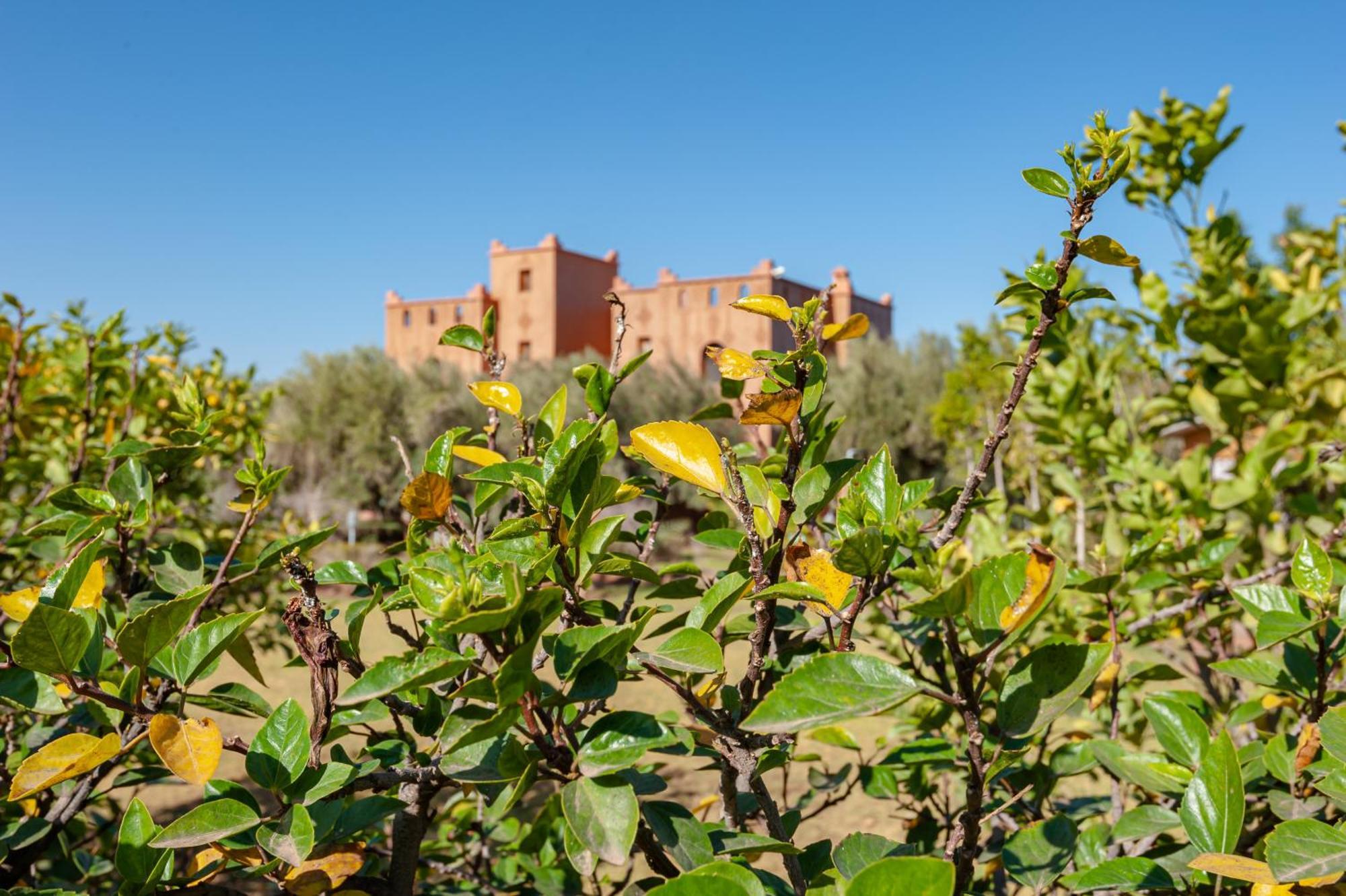 Ferme Sidi Safou & * Marrakesh