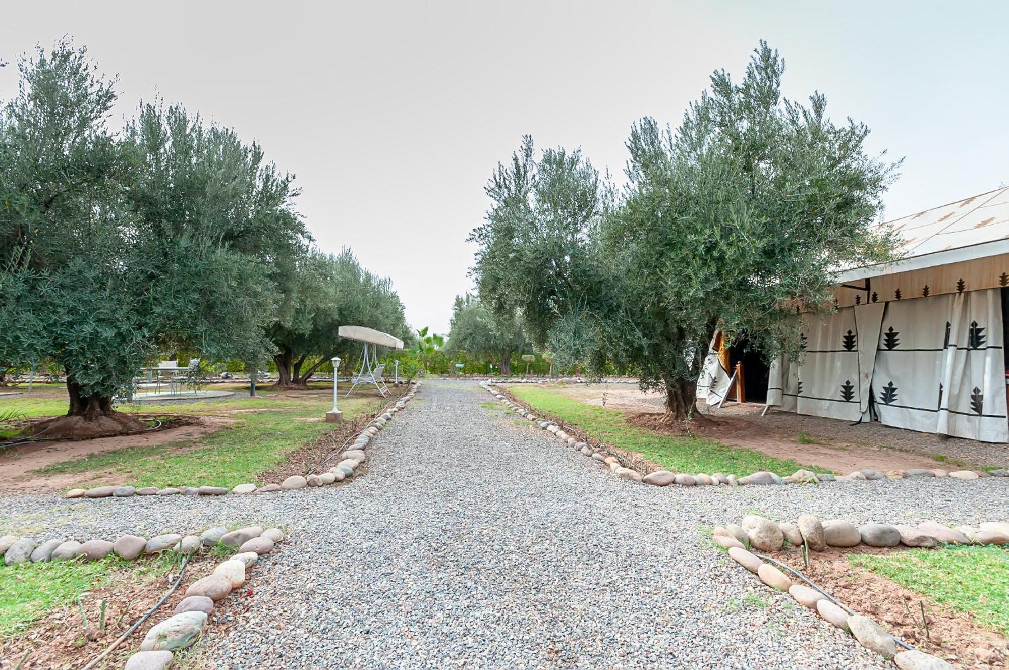 Vakantieboerderij Ferme Sidi Safou & *