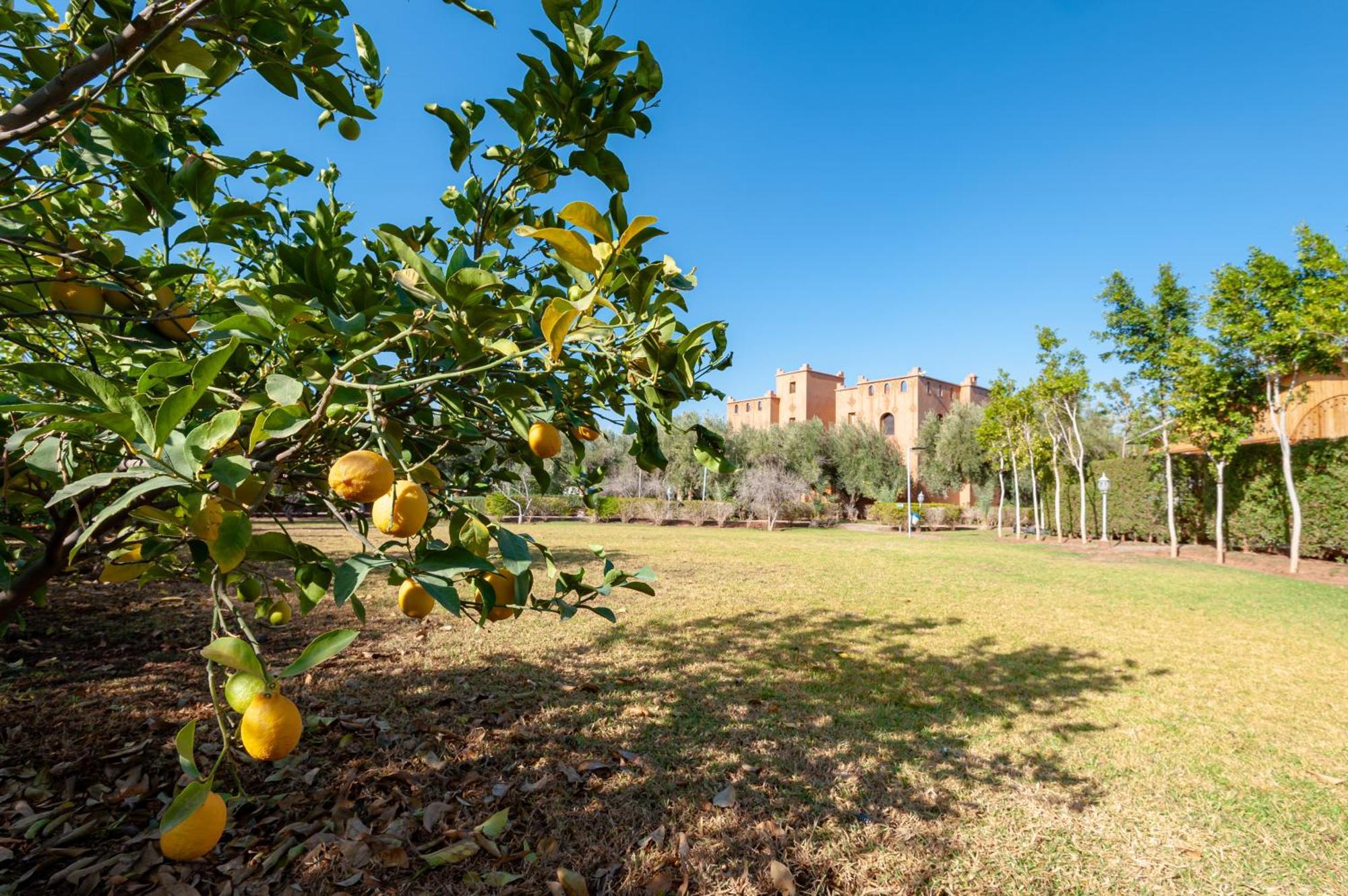 Ferme Sidi Safou & Vakantieboerderij