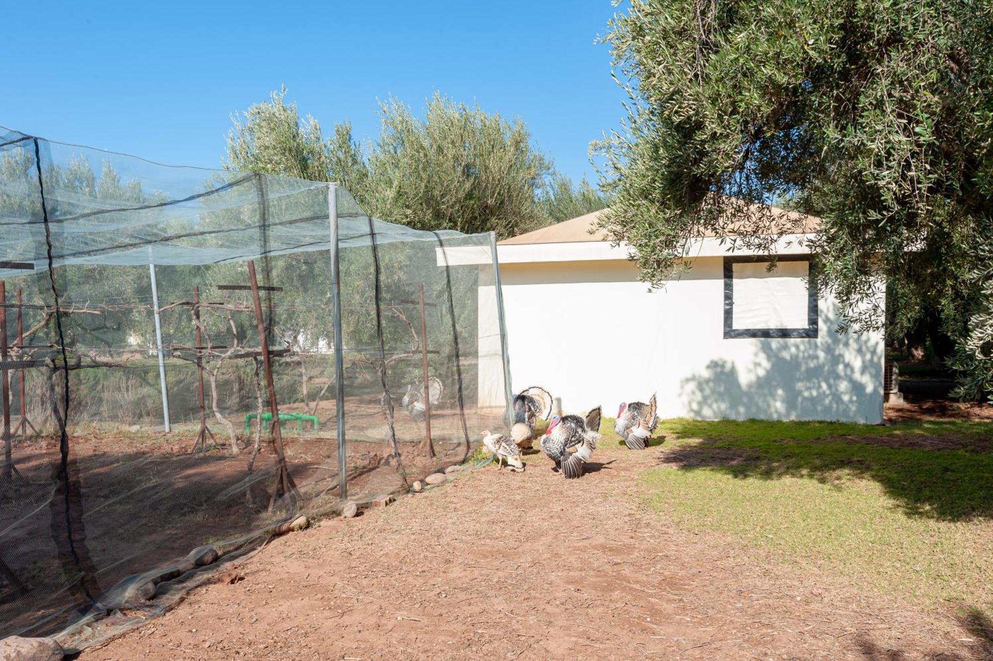 Ferme Sidi Safou & Vakantieboerderij Marrakesh